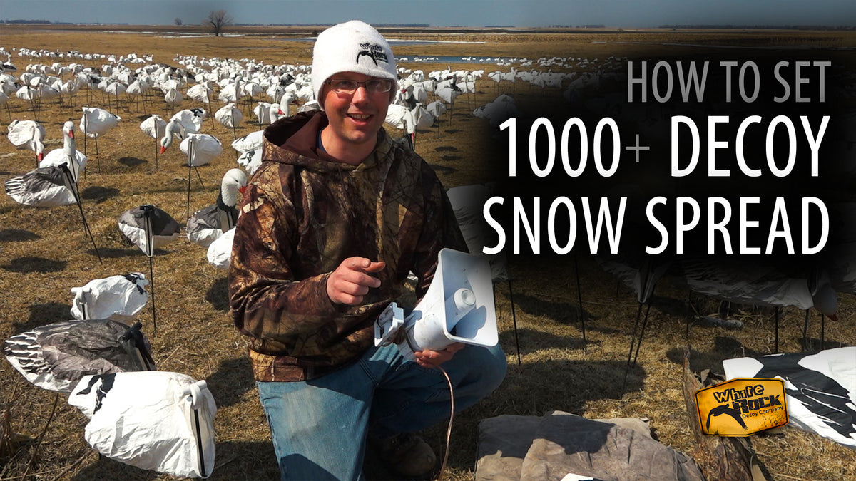 How To Set a 1000+ Decoy Snow Goose Spread White Rock Decoys