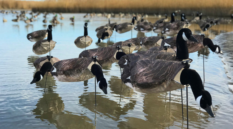 Why White Rock Windsocks Are The BEST Sock For Hunting Over Water