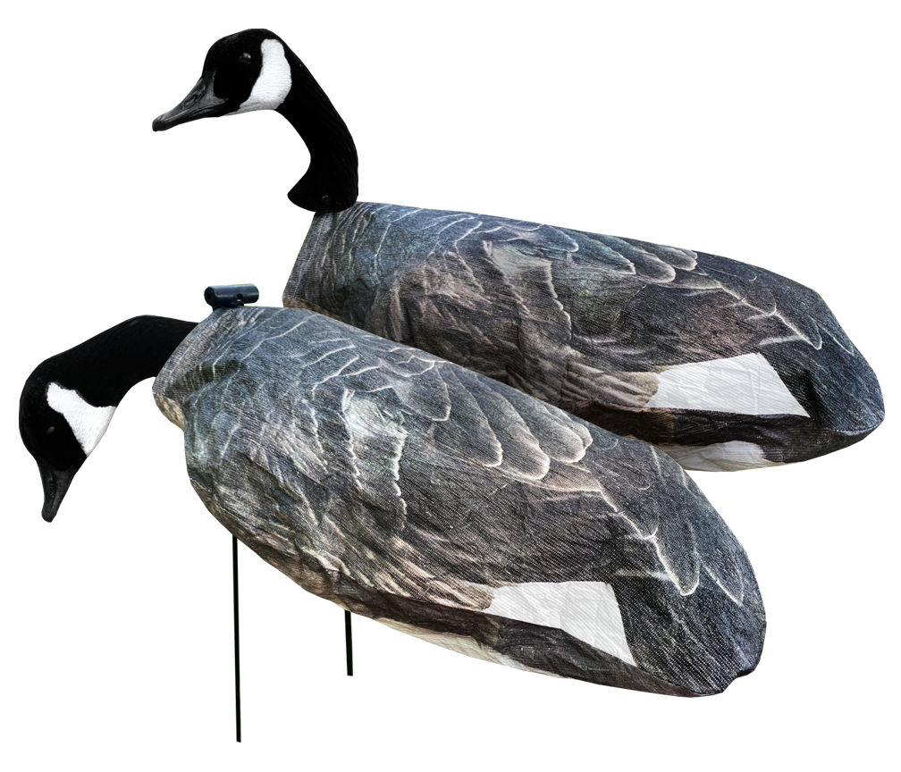 White rock canada sales goose decoys review