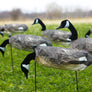 Canada Goose Windsocks