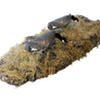 Canada Goose Windsock Blind Door Decoys