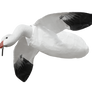 Deck Boss Flying Snow Goose Decoy
