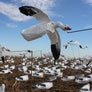 Deck Boss Flying Snow Goose Decoy