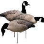 EVAC Fullbody Canada Goose Decoy