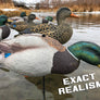 EVAC Series Fullbody Mallards