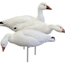 EVAC Series Fullbody Snows