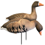 EVAC Series Fullbody Specks