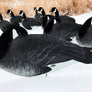 Flocked Head Silhouettes - Sleeper Pack