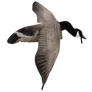 Deck Boss Flying Canada Goose Decoy