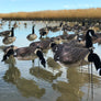 Canada Goose Windsock Decoys Over Water