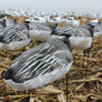 Headless Blue Goose Windsocks