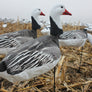 Upright Blue Goose Windsocks