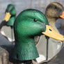 Mallard Windsocks