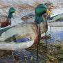 Mallard Windsocks