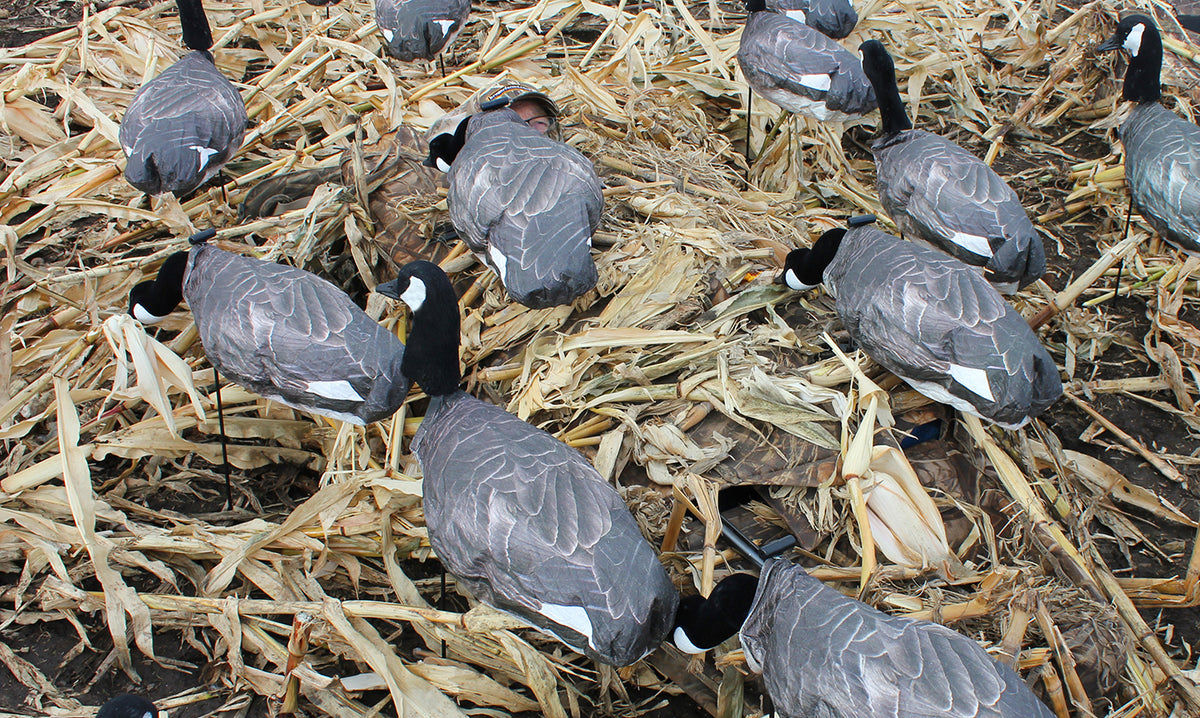 Canada Goose Windsock Blind Door Decoys White Rock Decoys