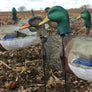 Mallard Windsocks