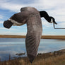 Deck Boss Flying Canada Goose Decoy