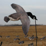 Deck Boss Flying Canada Goose Decoy