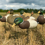 EVAC Series Fullbody Mallards