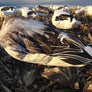 Headless Juvy Snow Goose Windsocks