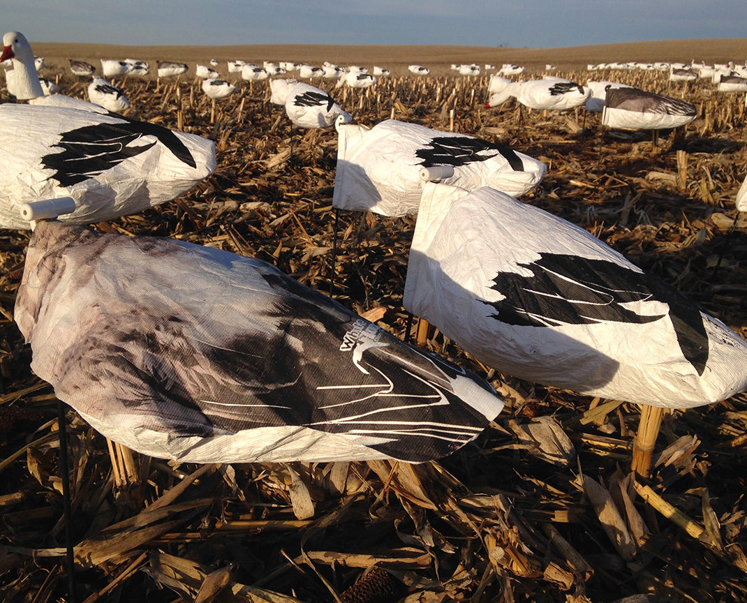 Headless Juvy Snow Goose Windsocks White Rock Decoys