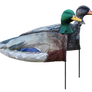 Mallard Windsocks