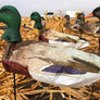 Mallard Windsocks