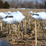 Rockonomy Snow Goose Windsocks