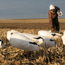 Rockonomy Snow Goose Windsocks