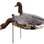 Specklebelly Goose Windsocks