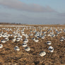 Headless Snow Goose Windsocks
