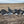 Flocked Head Canada Silhouettes