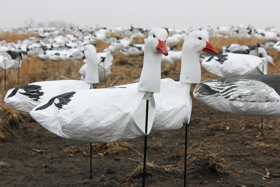 Upright Snow Goose Windsocks