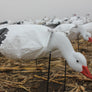 Feeder Snow Goose Windsocks