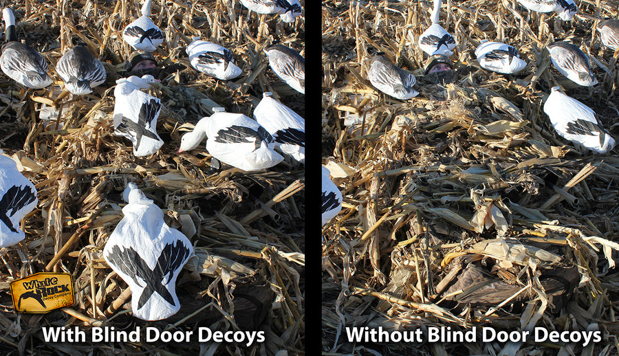 Snow Goose Blind Door Decoys