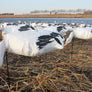 Feeder Snow Goose Windsocks